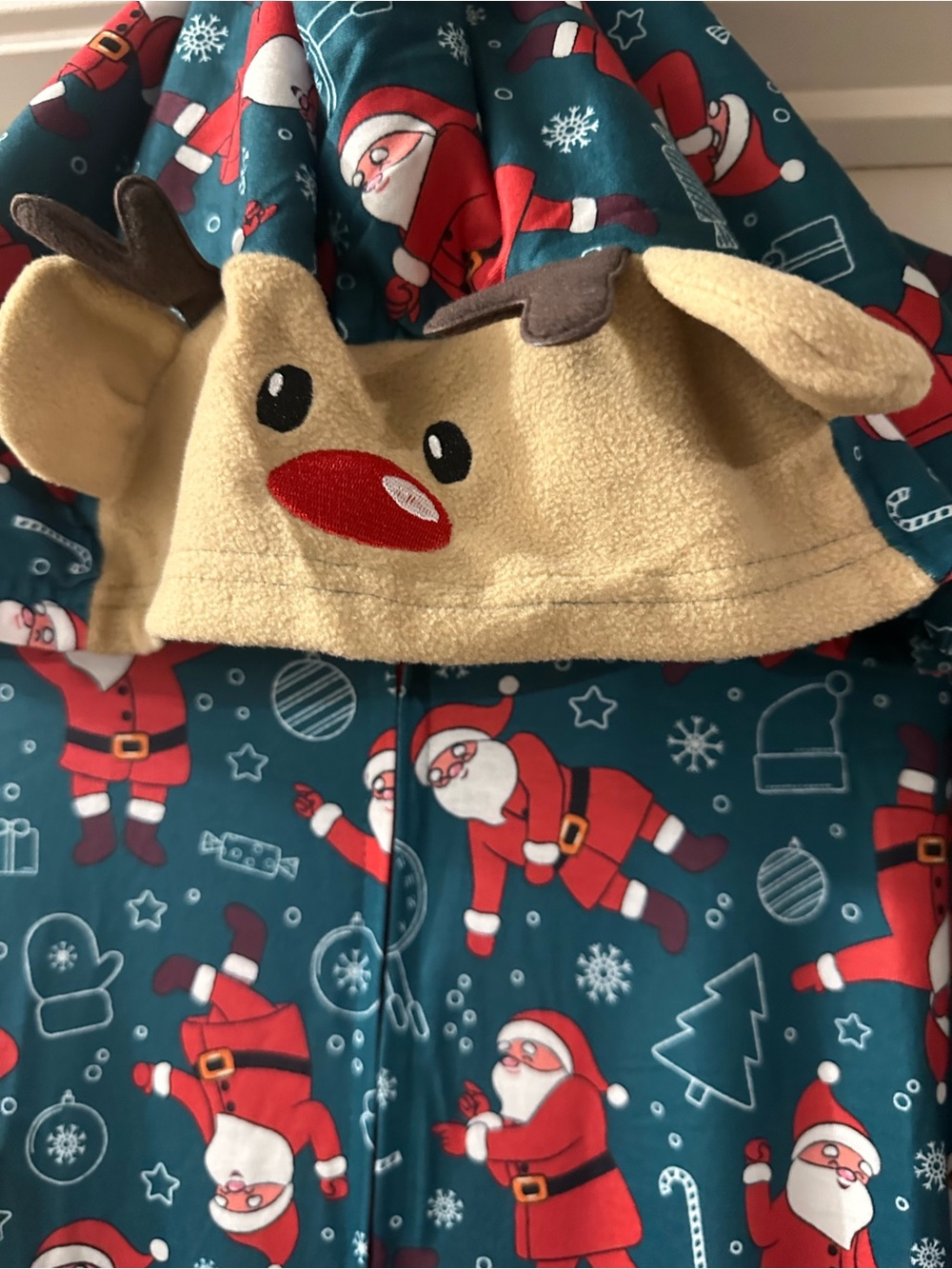 Men's Holiday Reindeer Hooded Pajama Set - Teal and Cream